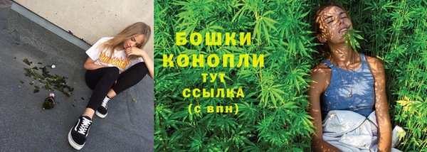 спайс Аркадак