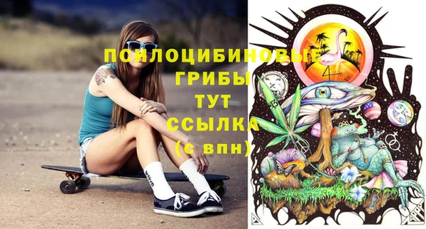 спайс Аркадак